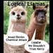Logical Llamas